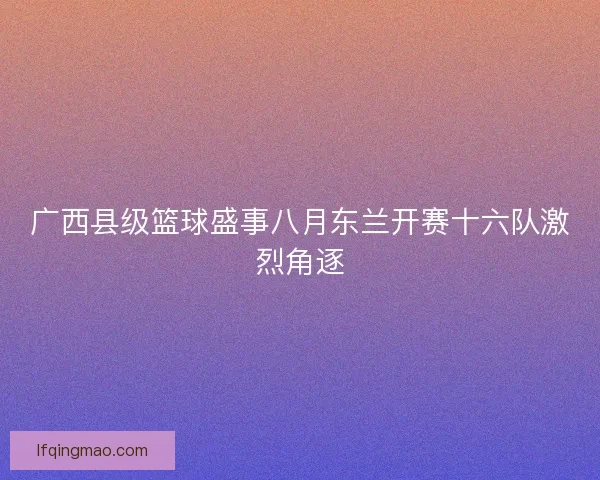 广西县级篮球盛事八月东兰开赛十六队激烈角逐