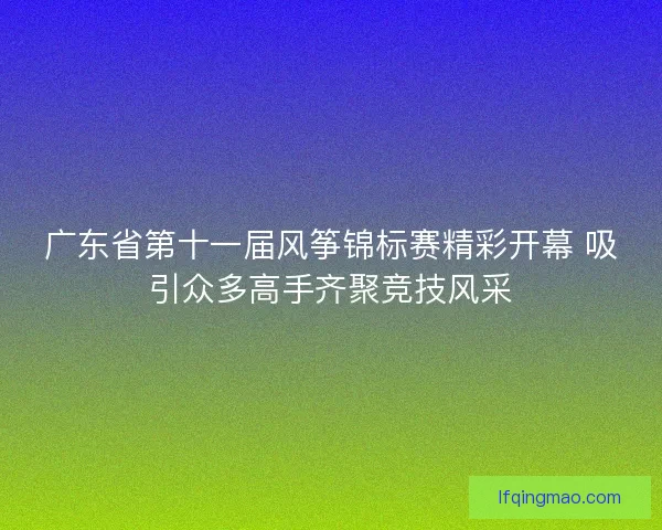 广东省第十一届风筝锦标赛精彩开幕 吸引众多高手齐聚竞技风采